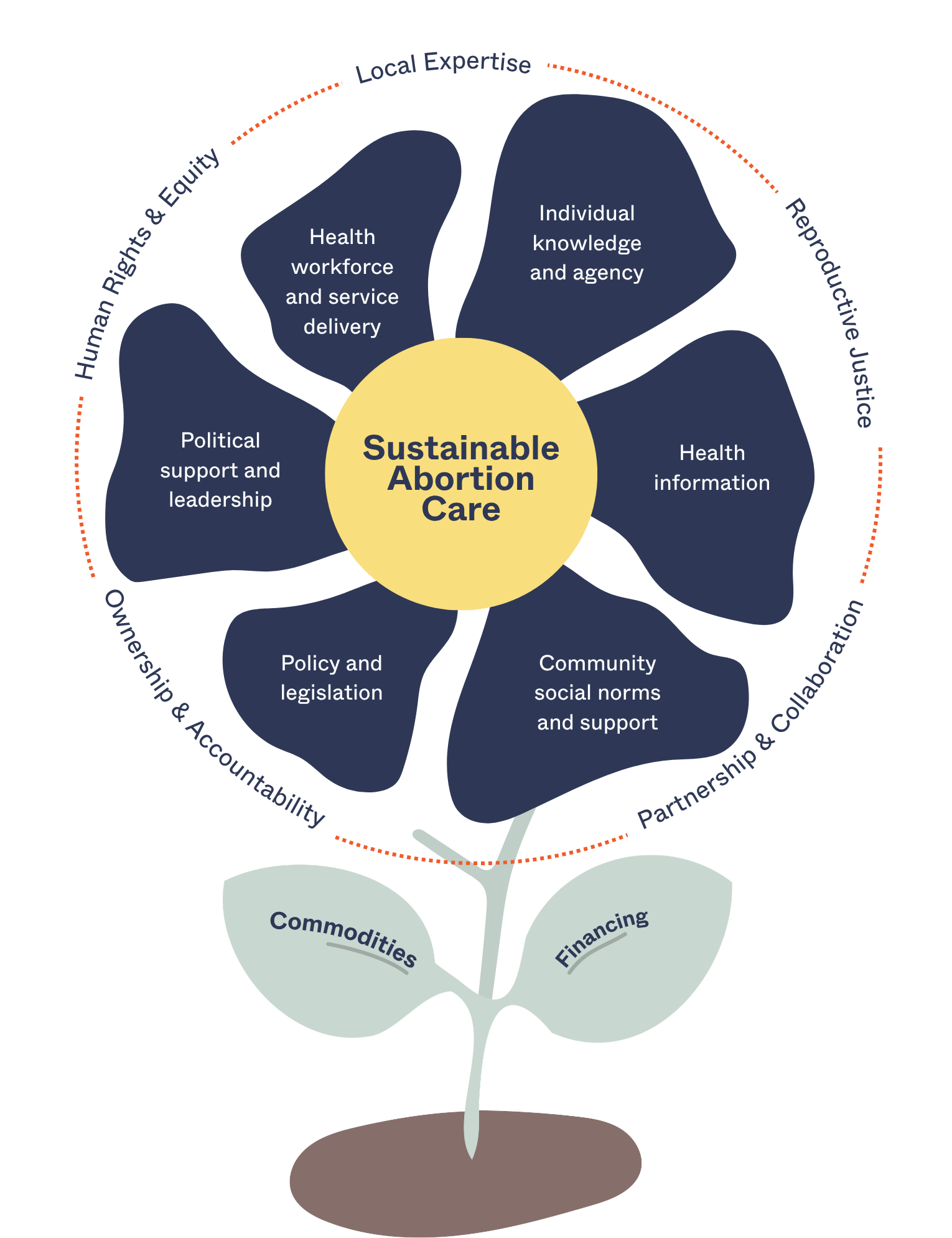 Sustainable Abortion Care Graphic